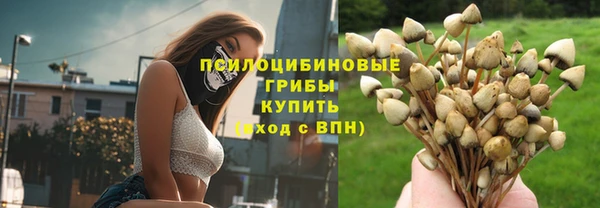 бошки Костерёво