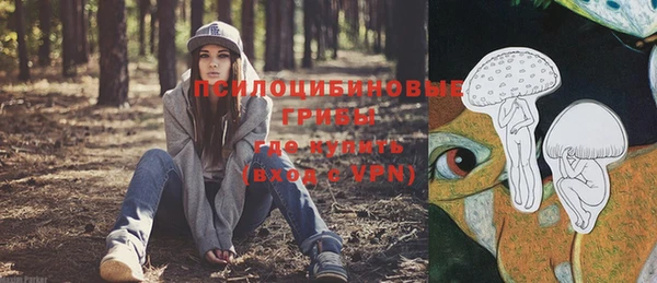 мескалин Коряжма