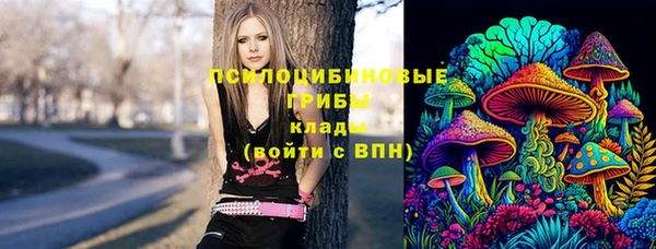 молекула духа Корсаков